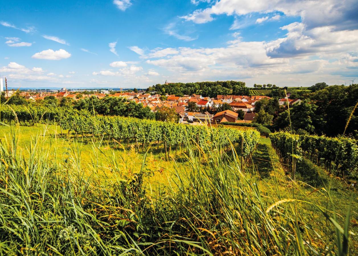 Gaestehaus Steinmuehle Osthofen Dış mekan fotoğraf