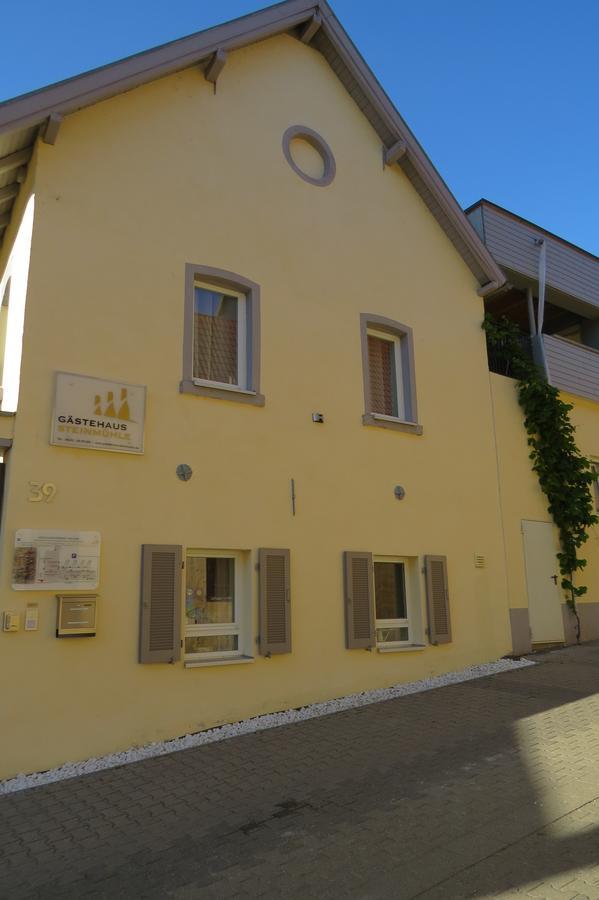 Gastehaus Steinmuhle Otel Osthofen Dış mekan fotoğraf